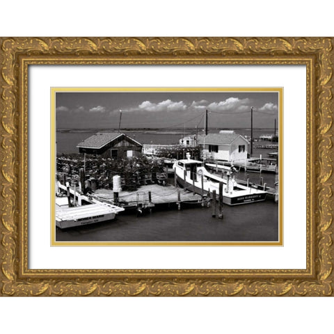 Tangier Island I Gold Ornate Wood Framed Art Print with Double Matting by Hausenflock, Alan