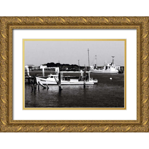 Tangier Island III Gold Ornate Wood Framed Art Print with Double Matting by Hausenflock, Alan