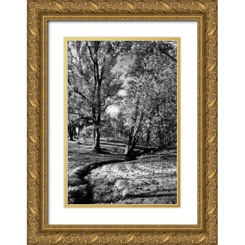 A Small Creek Gold Ornate Wood Framed Art Print with Double Matting by Hausenflock, Alan