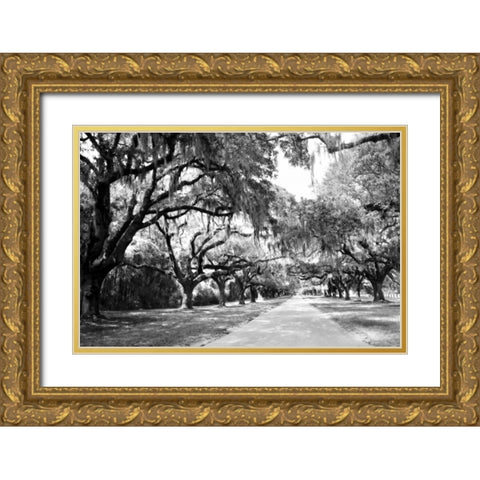 Charleston Oaks I0 Gold Ornate Wood Framed Art Print with Double Matting by Hausenflock, Alan