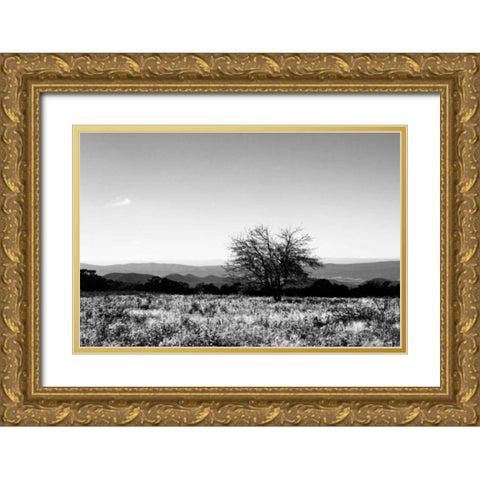 Big Meadow III Gold Ornate Wood Framed Art Print with Double Matting by Hausenflock, Alan