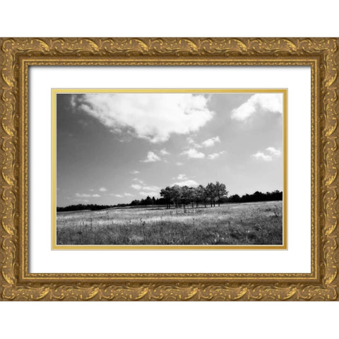 Tree Line I Gold Ornate Wood Framed Art Print with Double Matting by Hausenflock, Alan