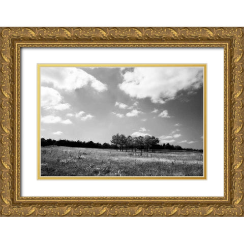 Tree Line II Gold Ornate Wood Framed Art Print with Double Matting by Hausenflock, Alan