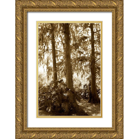 Tropical Garden I Gold Ornate Wood Framed Art Print with Double Matting by Hausenflock, Alan