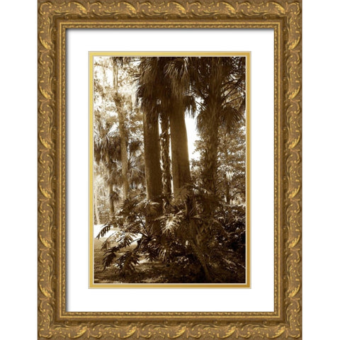 Tropical Garden II Gold Ornate Wood Framed Art Print with Double Matting by Hausenflock, Alan