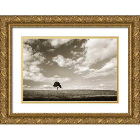 Cloudy Skies III Gold Ornate Wood Framed Art Print with Double Matting by Hausenflock, Alan