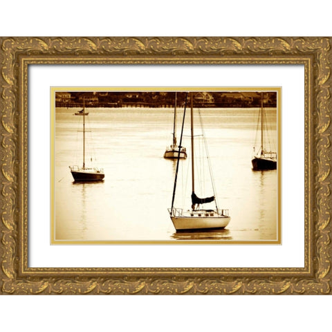 St. Augustine Harbor I Gold Ornate Wood Framed Art Print with Double Matting by Hausenflock, Alan