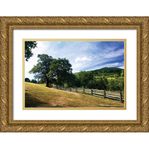 Humpback Mountain Gold Ornate Wood Framed Art Print with Double Matting by Hausenflock, Alan