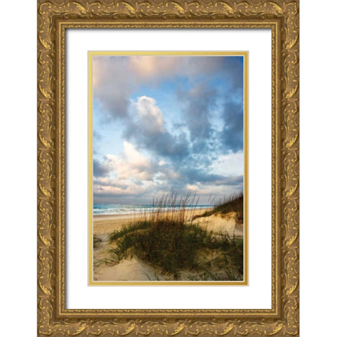 Cotton Candy Sunrise II Gold Ornate Wood Framed Art Print with Double Matting by Hausenflock, Alan