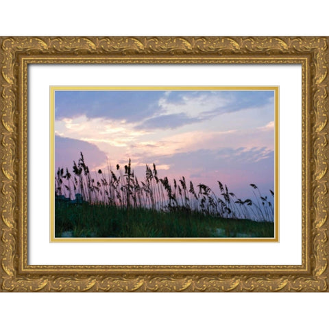 Sea Oats on Lavender I Gold Ornate Wood Framed Art Print with Double Matting by Hausenflock, Alan