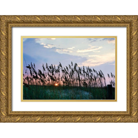 Sea Oats on Lavender II Gold Ornate Wood Framed Art Print with Double Matting by Hausenflock, Alan