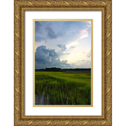 Sunset on Bogue Sound IV Gold Ornate Wood Framed Art Print with Double Matting by Hausenflock, Alan