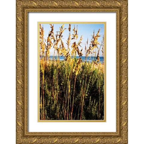 A Perfect Day IV Gold Ornate Wood Framed Art Print with Double Matting by Hausenflock, Alan