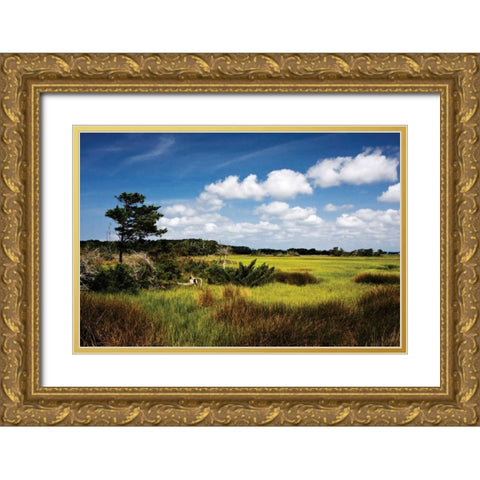 Marshland I Gold Ornate Wood Framed Art Print with Double Matting by Hausenflock, Alan