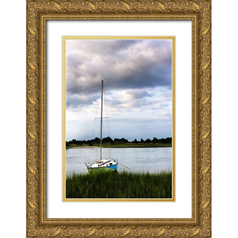 Stormy Sunrise on Taylors Creek I Gold Ornate Wood Framed Art Print with Double Matting by Hausenflock, Alan