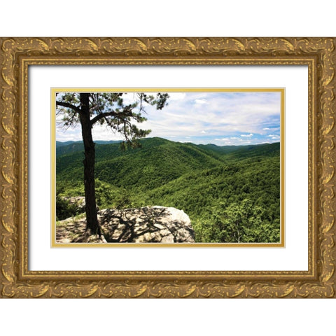 Blue Ridge Gold Ornate Wood Framed Art Print with Double Matting by Hausenflock, Alan