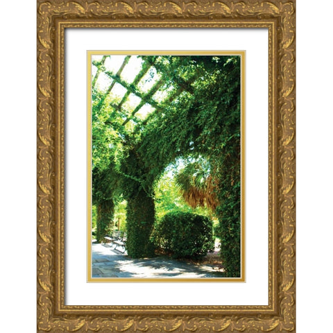 Ivy I Gold Ornate Wood Framed Art Print with Double Matting by Hausenflock, Alan