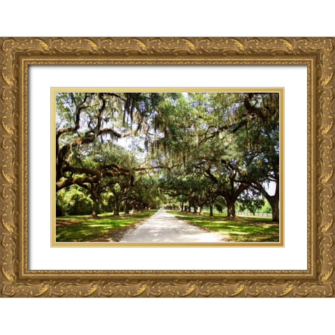 Charleston Oaks I Gold Ornate Wood Framed Art Print with Double Matting by Hausenflock, Alan