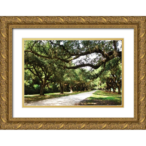 Charleston Oaks IV Gold Ornate Wood Framed Art Print with Double Matting by Hausenflock, Alan