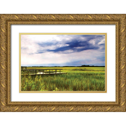 Marshland Storm I Gold Ornate Wood Framed Art Print with Double Matting by Hausenflock, Alan