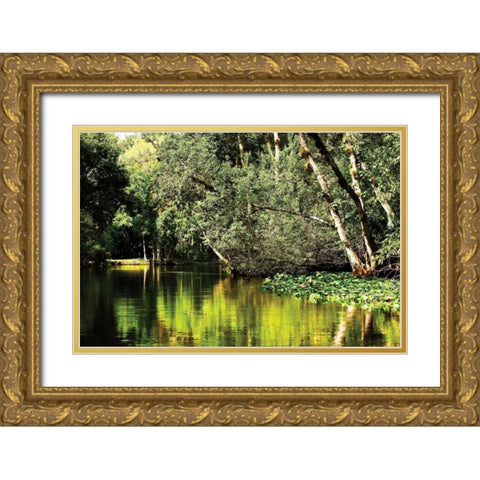 Silver River I Gold Ornate Wood Framed Art Print with Double Matting by Hausenflock, Alan