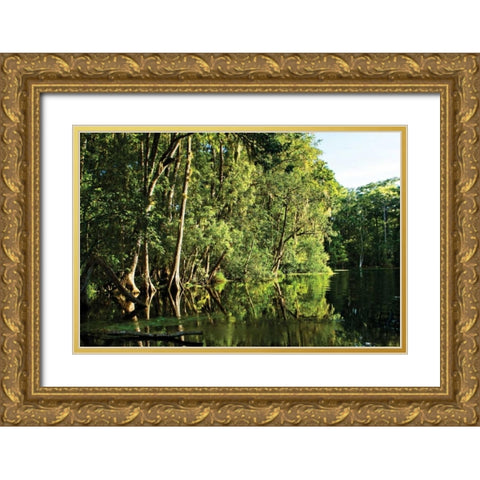 Silver River II Gold Ornate Wood Framed Art Print with Double Matting by Hausenflock, Alan