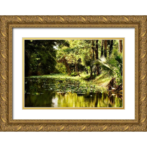 Silver River III Gold Ornate Wood Framed Art Print with Double Matting by Hausenflock, Alan