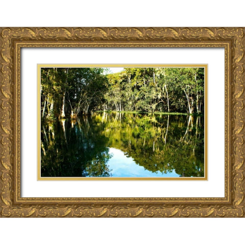 Silver River IV Gold Ornate Wood Framed Art Print with Double Matting by Hausenflock, Alan