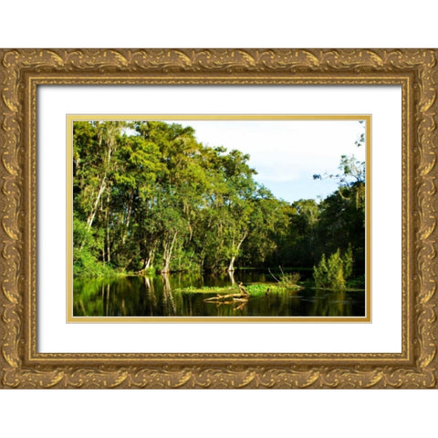 Silver River VI Gold Ornate Wood Framed Art Print with Double Matting by Hausenflock, Alan