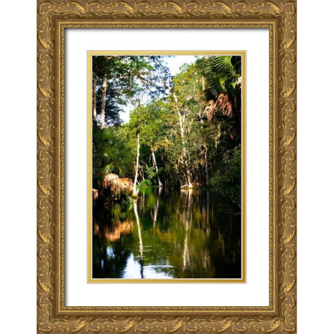 Winding River I Gold Ornate Wood Framed Art Print with Double Matting by Hausenflock, Alan