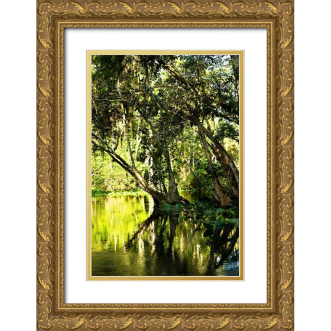 Winding River II Gold Ornate Wood Framed Art Print with Double Matting by Hausenflock, Alan