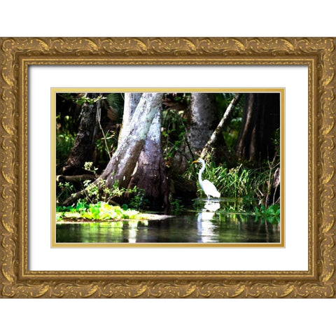 Stalking Egret Gold Ornate Wood Framed Art Print with Double Matting by Hausenflock, Alan