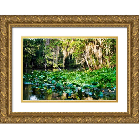 Water Lilies I Gold Ornate Wood Framed Art Print with Double Matting by Hausenflock, Alan