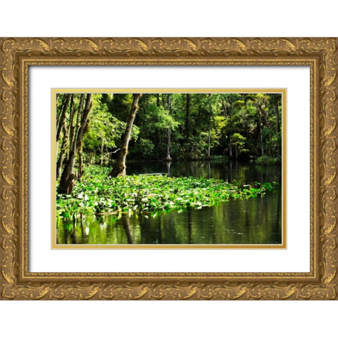Water Lilies II Gold Ornate Wood Framed Art Print with Double Matting by Hausenflock, Alan
