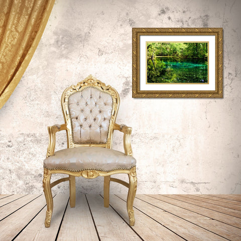 Clear Spring Waters I Gold Ornate Wood Framed Art Print with Double Matting by Hausenflock, Alan