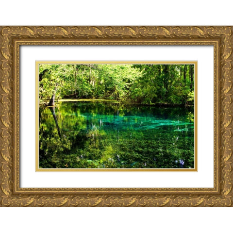 Clear Spring Waters I Gold Ornate Wood Framed Art Print with Double Matting by Hausenflock, Alan