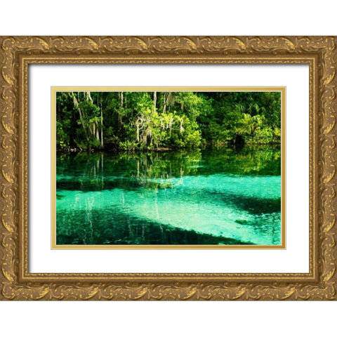 Clear Spring Waters II Gold Ornate Wood Framed Art Print with Double Matting by Hausenflock, Alan