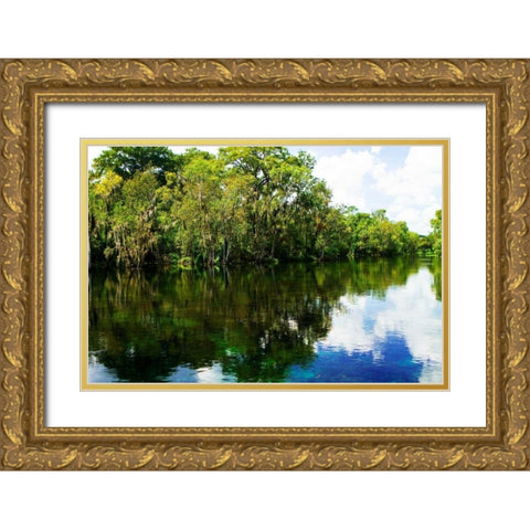 Silver River VII Gold Ornate Wood Framed Art Print with Double Matting by Hausenflock, Alan