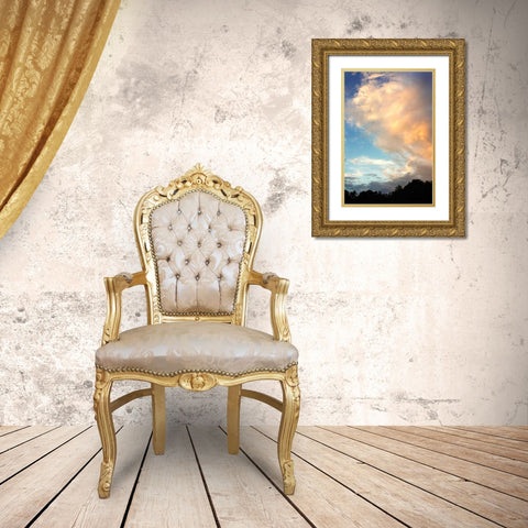 Rainbow Cloud II Gold Ornate Wood Framed Art Print with Double Matting by Hausenflock, Alan