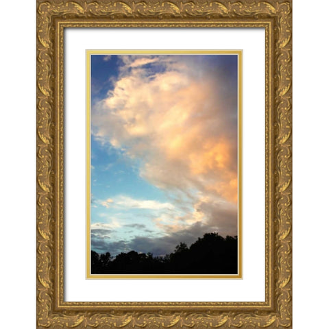 Rainbow Cloud II Gold Ornate Wood Framed Art Print with Double Matting by Hausenflock, Alan