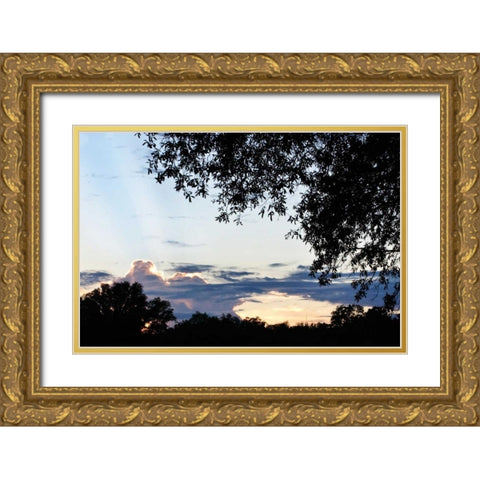 Sunset Through the Trees I Gold Ornate Wood Framed Art Print with Double Matting by Hausenflock, Alan