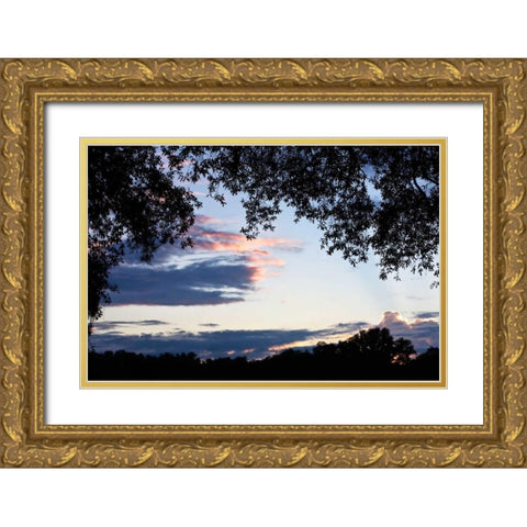 Sunset Through the Trees II Gold Ornate Wood Framed Art Print with Double Matting by Hausenflock, Alan