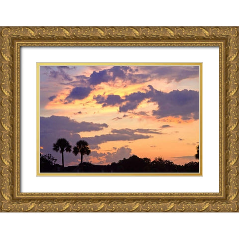 San Marcos Sunset III Gold Ornate Wood Framed Art Print with Double Matting by Hausenflock, Alan