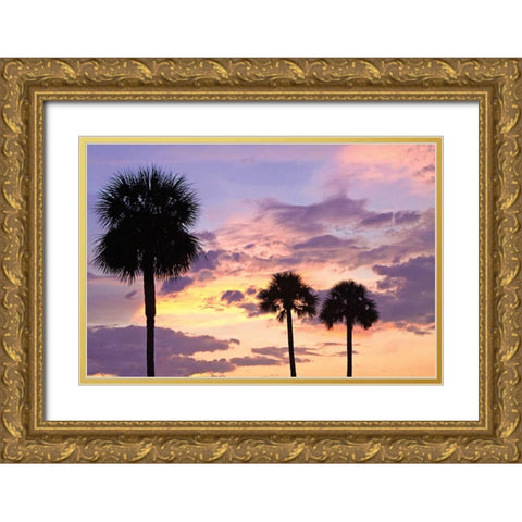 San Marcos Sunset IV Gold Ornate Wood Framed Art Print with Double Matting by Hausenflock, Alan
