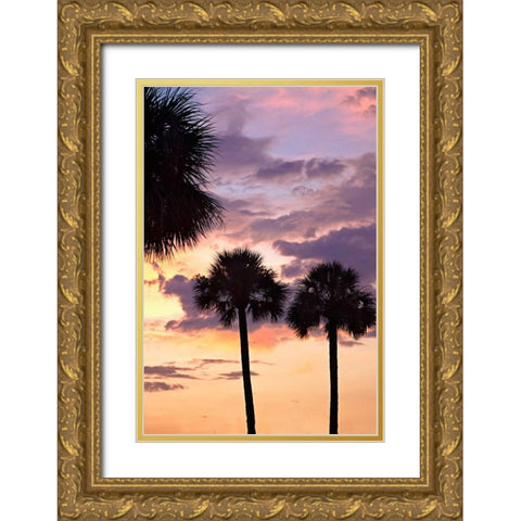 San Marcos Sunset V Gold Ornate Wood Framed Art Print with Double Matting by Hausenflock, Alan