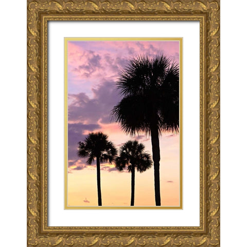 San Marcos Sunset VI Gold Ornate Wood Framed Art Print with Double Matting by Hausenflock, Alan