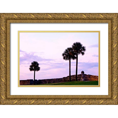 Castillo II Gold Ornate Wood Framed Art Print with Double Matting by Hausenflock, Alan