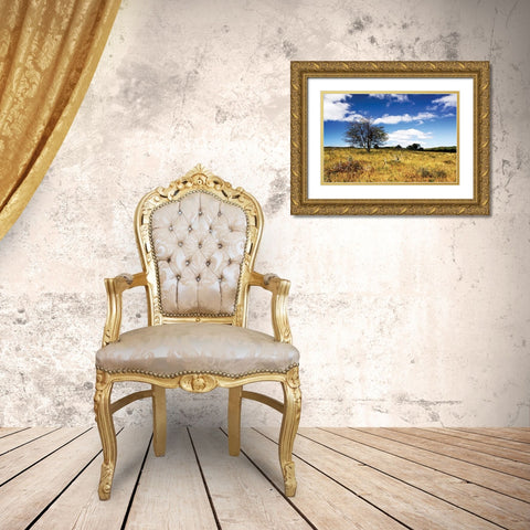 Big Meadow I Gold Ornate Wood Framed Art Print with Double Matting by Hausenflock, Alan