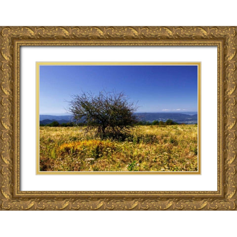 Distant Mountains IV Gold Ornate Wood Framed Art Print with Double Matting by Hausenflock, Alan