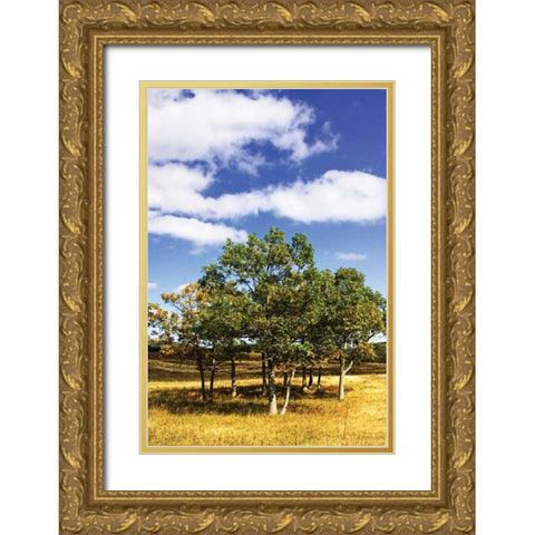 Autumn Fields III Gold Ornate Wood Framed Art Print with Double Matting by Hausenflock, Alan